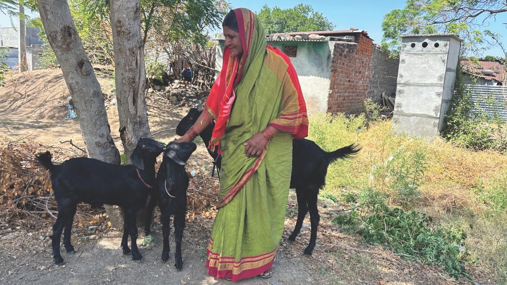 Goats Help Improve Resilience in India - The Evangelical Covenant Church